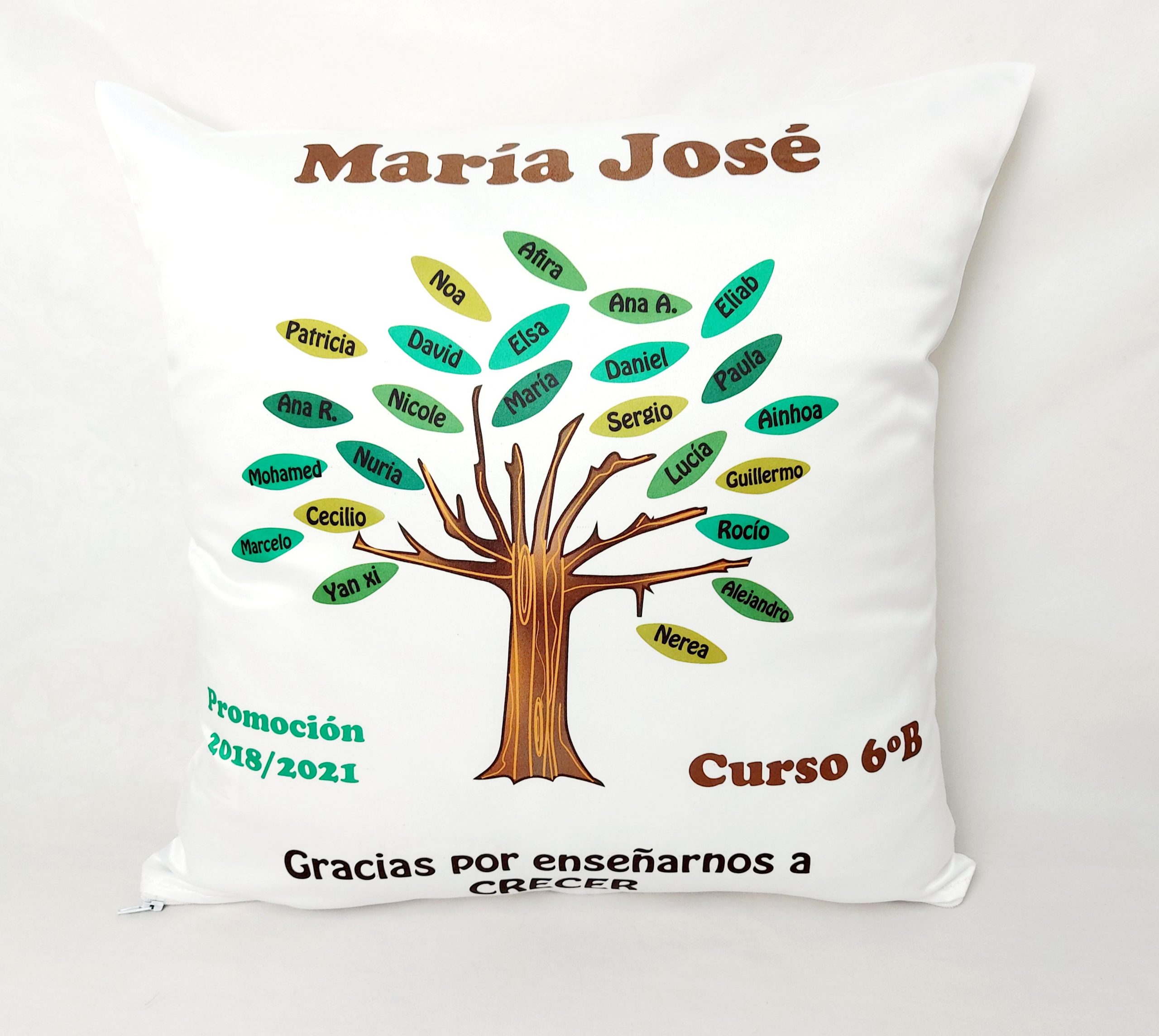 Cojín alumnos - Imagen 2