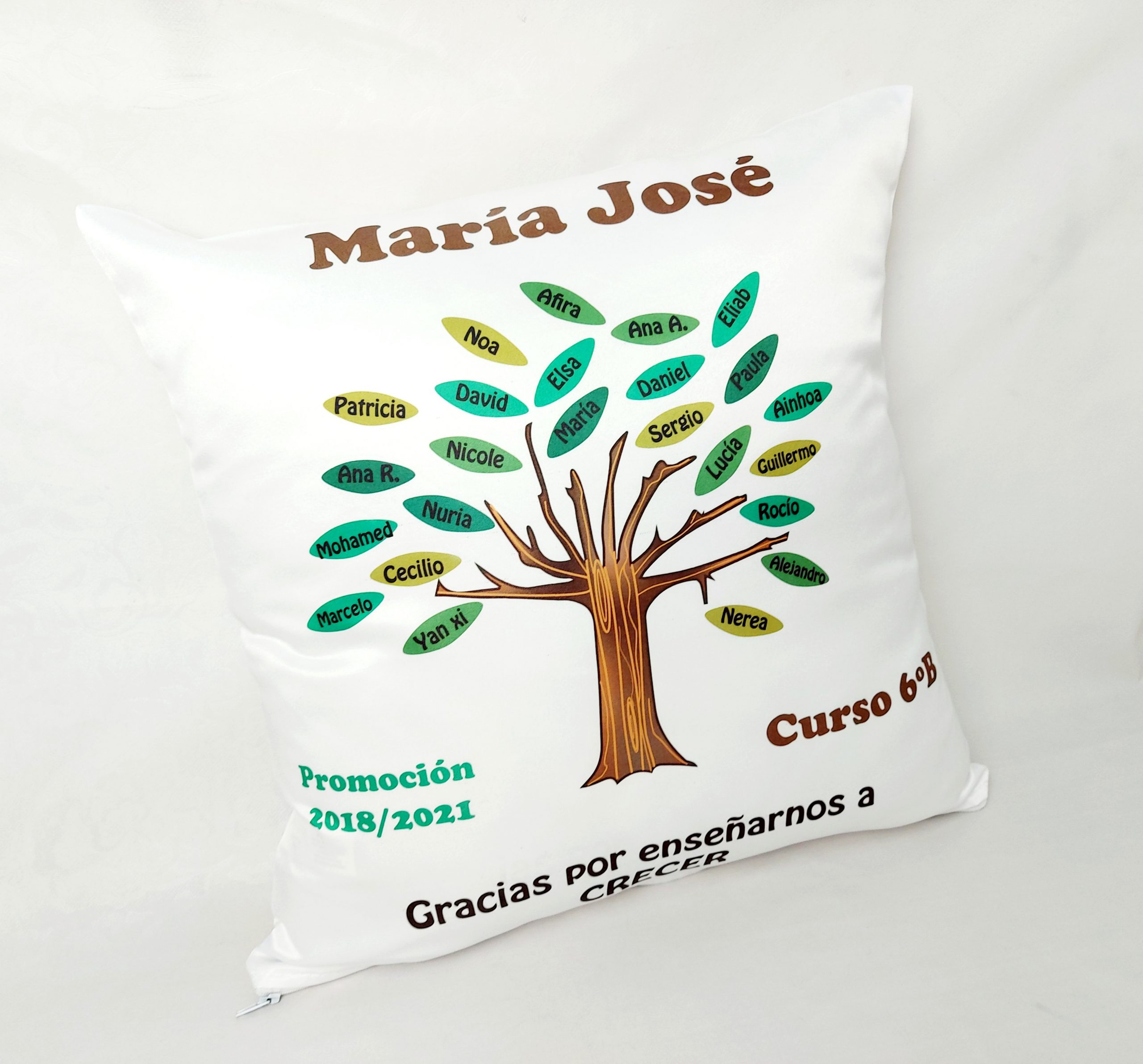 Cojín alumnos - Imagen 4