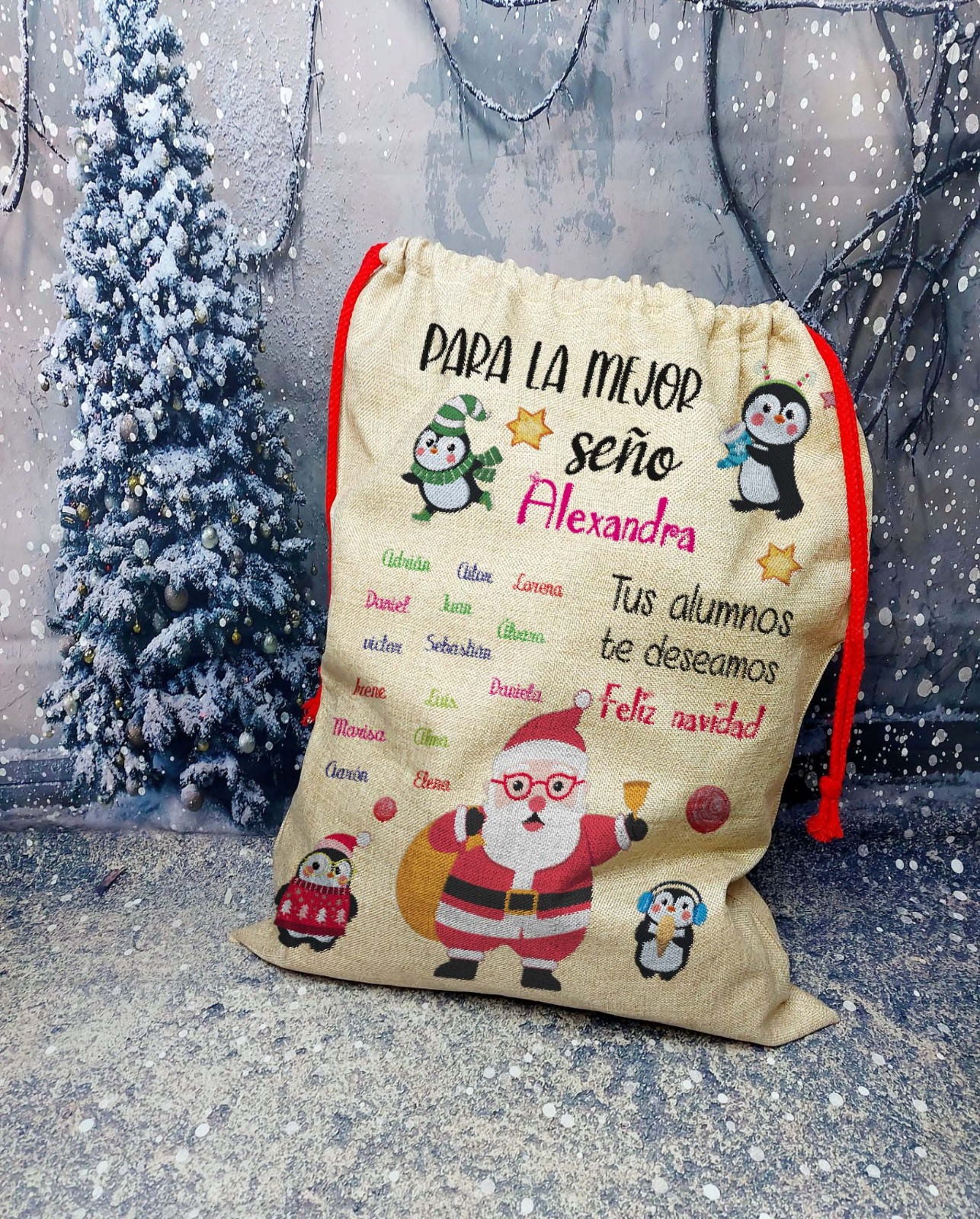 Saco Navidad Papá Noel XL Seño