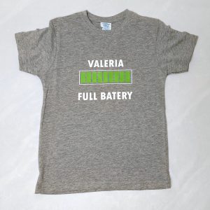 Full batery
