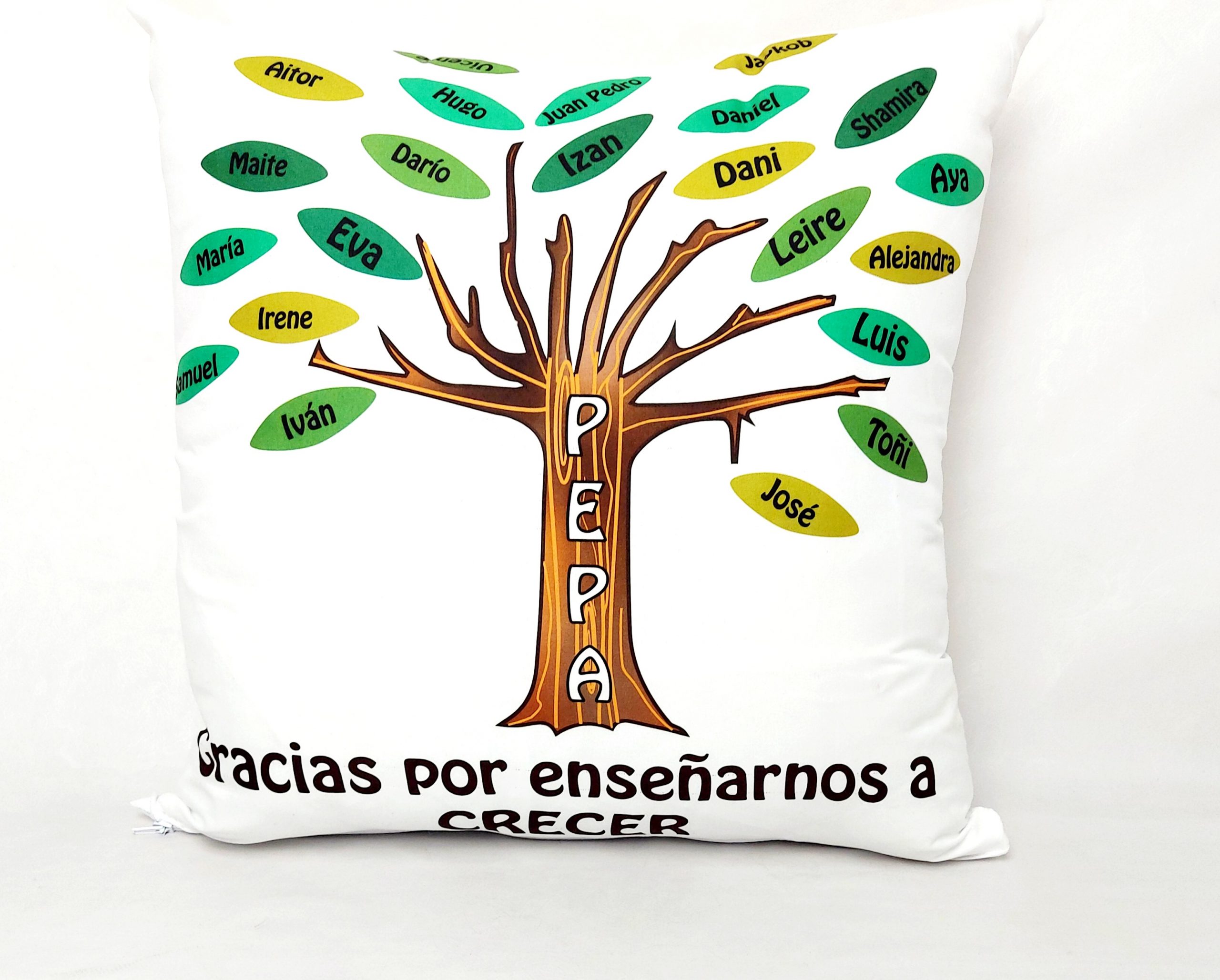 cojin profe