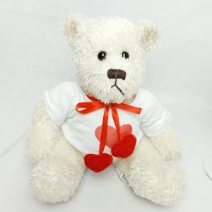 Osito Teddy