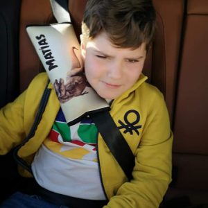 portector cinturon para coche