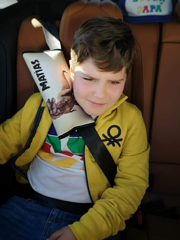portector cinturon para coche
