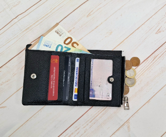 monedero interior monedas