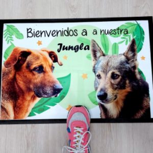 felpudo bienvenidos a nuestra casa