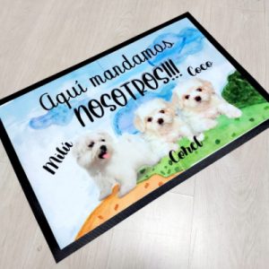 felpudo nuestros perritos